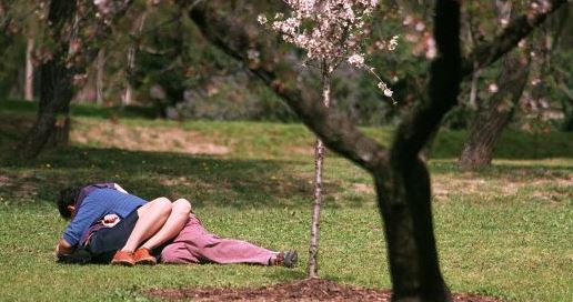 El porno como educación sexual